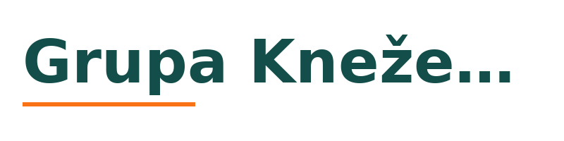 Grupa Knežević logo